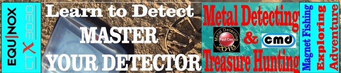 minelab beach detector